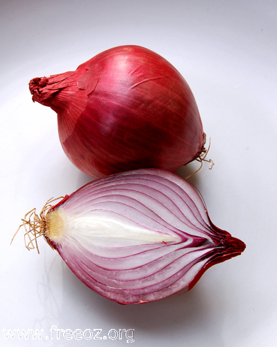 Red onion