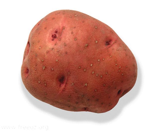 pontiac potato