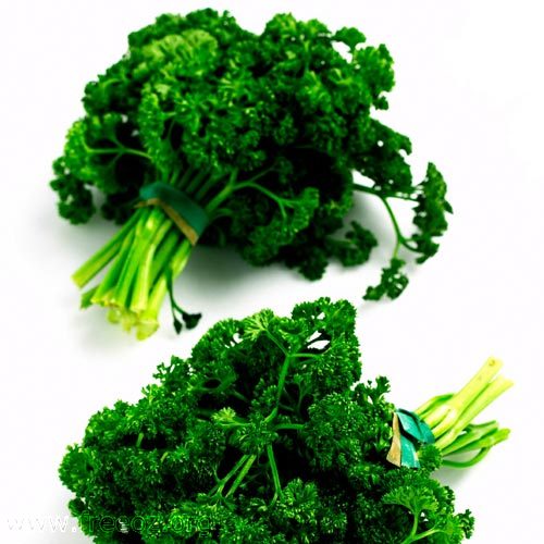 parsley