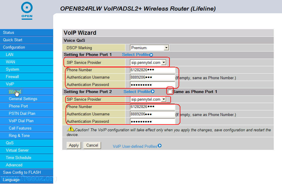 voip2.jpg