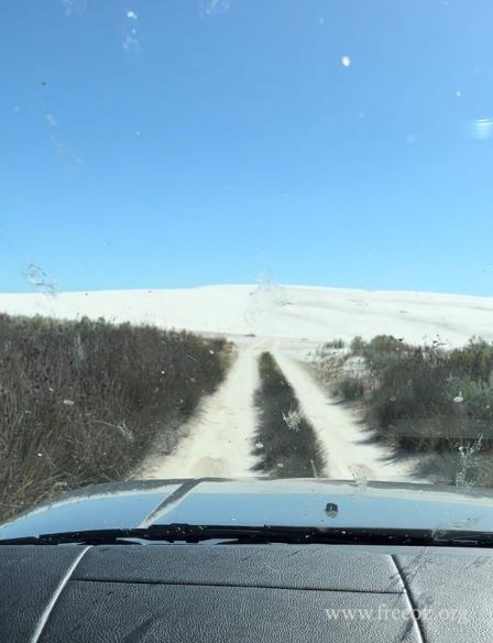 ˹ְɳLancelin Sand Dune