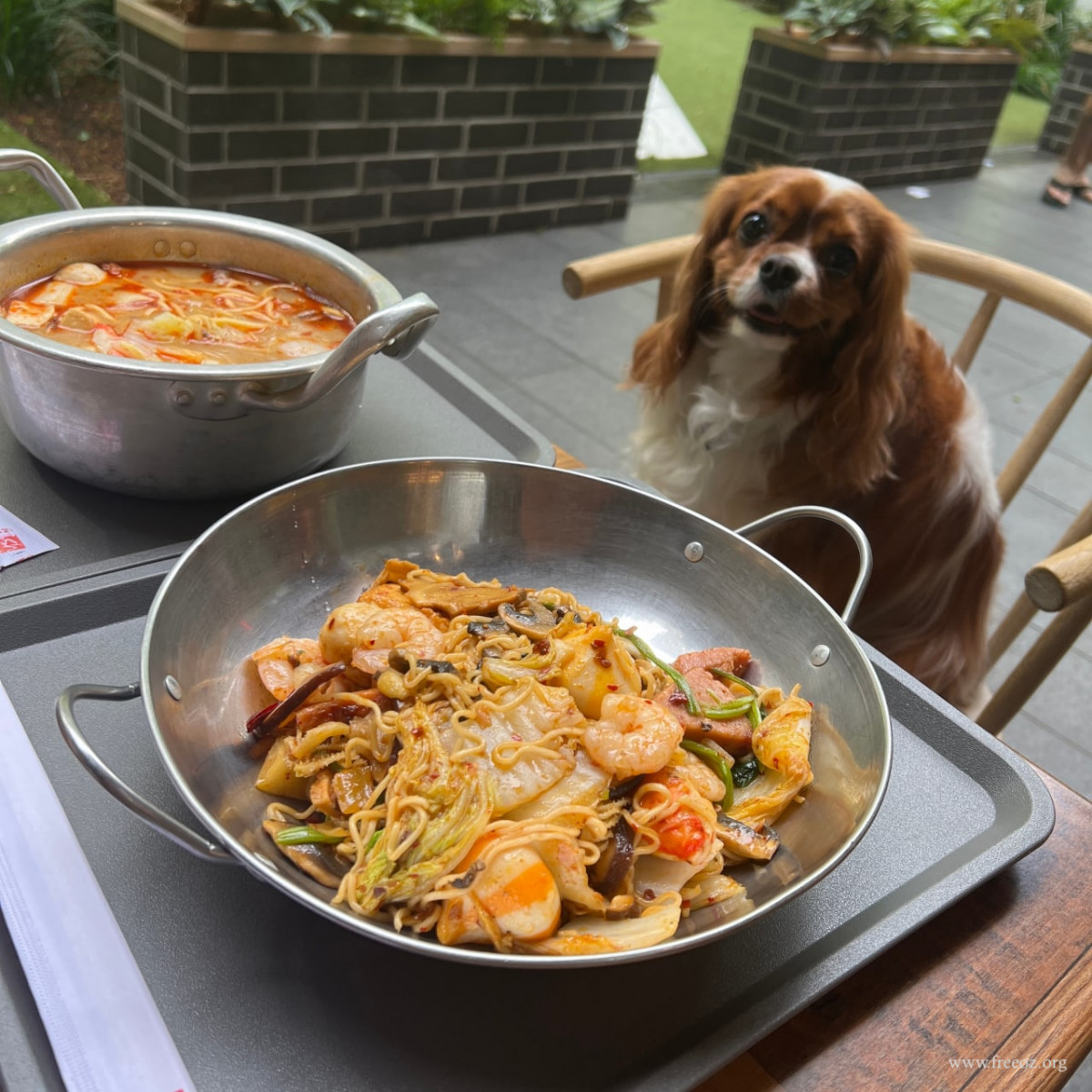 photo_2022-11-09_13-52-49 (2).jpg