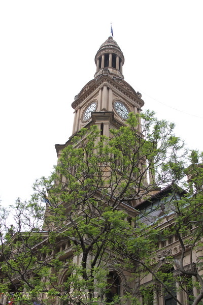 2009.12 ʥ櫴õӱ.JPG