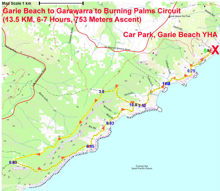 Garie Beach to Garawarra to Burning Palm Circuit Track.JPG