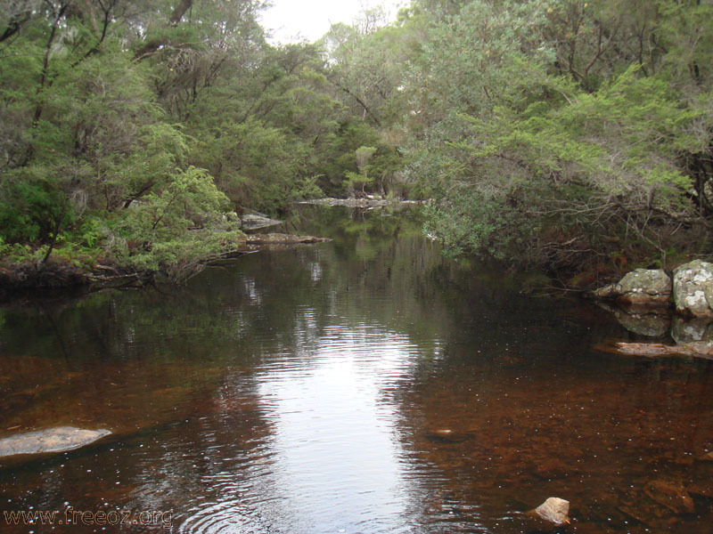 Bittangabee Creek h.JPG