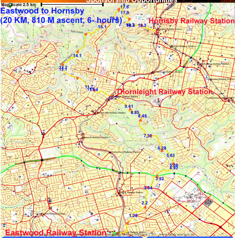 Eastwood to Hornsby Track h.JPG