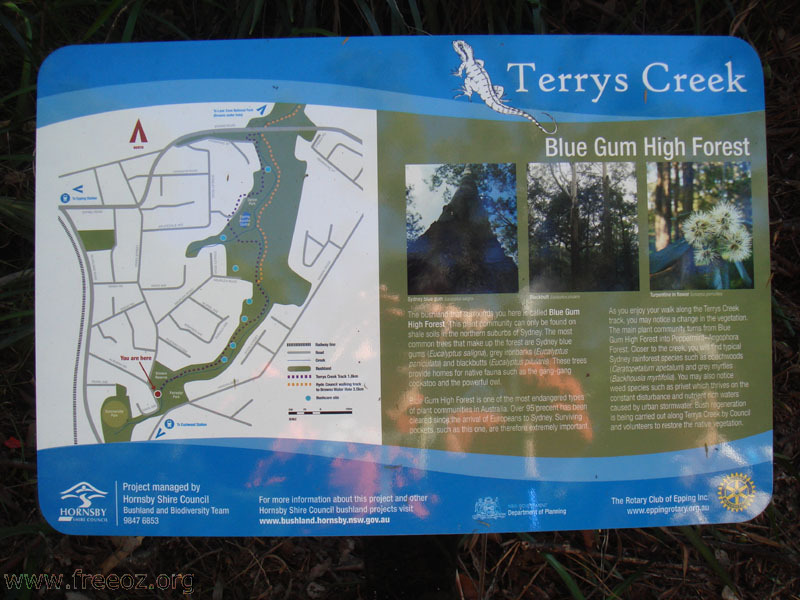 Terry's Creek walk of Eastwood h.JPG