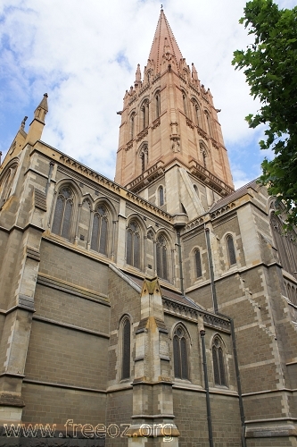 DSC00331.jpg