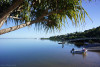 DSC08362.JPG